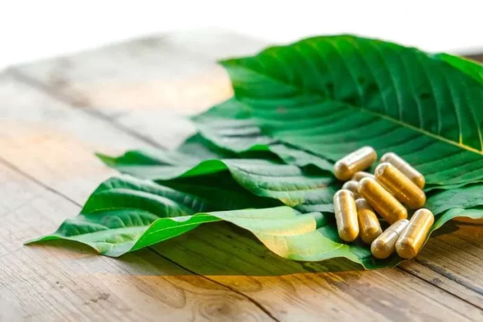 Kratom Near Me: How to Find the Best Local and Online Vendors